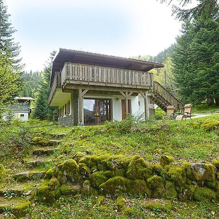 Le Schwarzwald - A Proximite Des Stations De Ski La Bresse Exterior foto